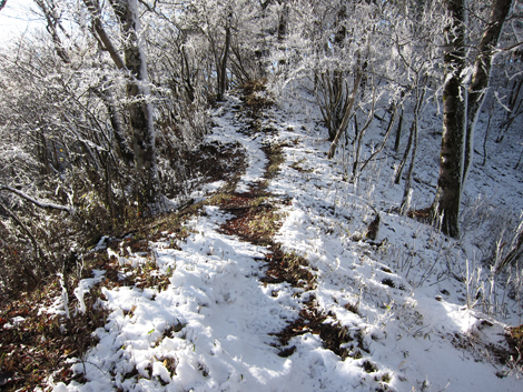 20191129hike (334)